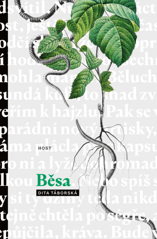 public://cover/cover_178767.jpg