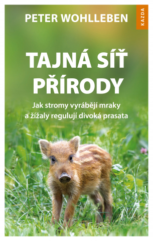 public://cover/cover_185278.jpg