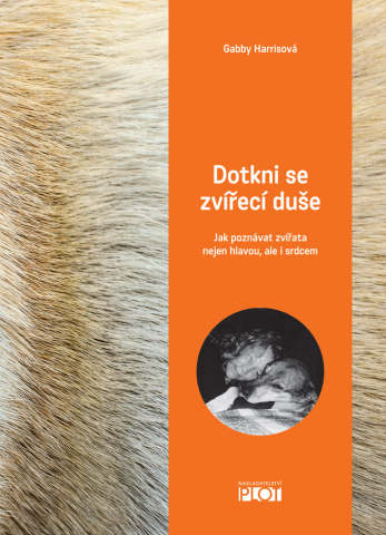 public://cover/cover_205684.jpg