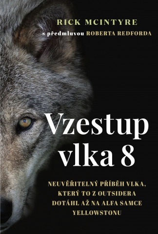 public://cover/cover_337235.jpg