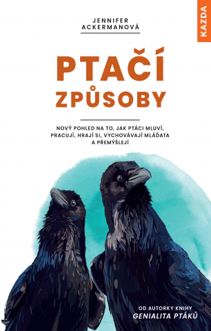 public://cover/cover_338065.jpg