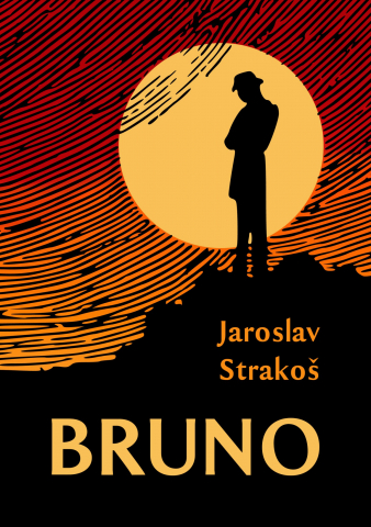 public://cover/cover_339846.jpg