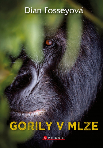 public://cover/cover_347595.jpg