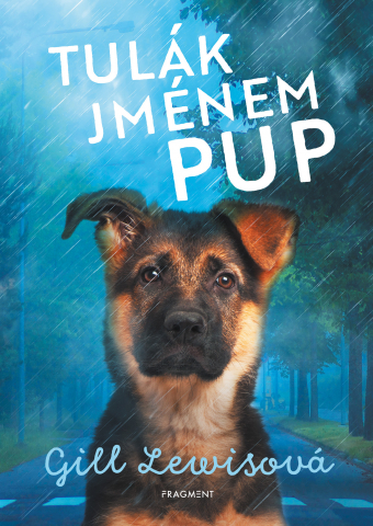 public://cover/cover_358260.jpg