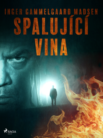 public://cover/cover_380780.jpg