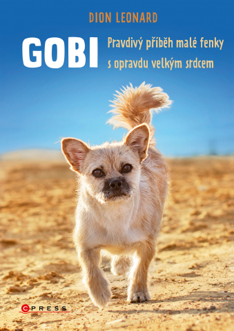 public://cover/cover_386532.jpg