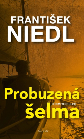 public://cover/cover_388010.jpg