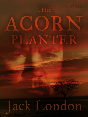public://cover/cover_395320.jpg