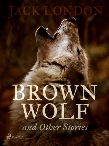 public://cover/cover_395466.jpg
