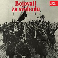 public://cover/cover_398732.jpg
