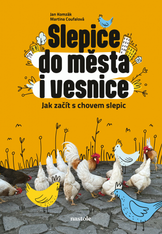public://cover/cover_408215.jpg