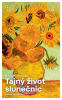 public://cover/cover_420758.jpg