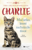 public://cover/cover_177046.jpg
