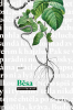 public://cover/cover_178767.jpg