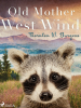 public://cover/cover_382464.jpg